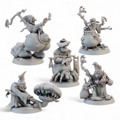 Mad Council of Misconceptions   