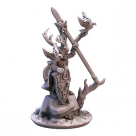 Elfes Sylvestre - Héros fauconnier   (2)