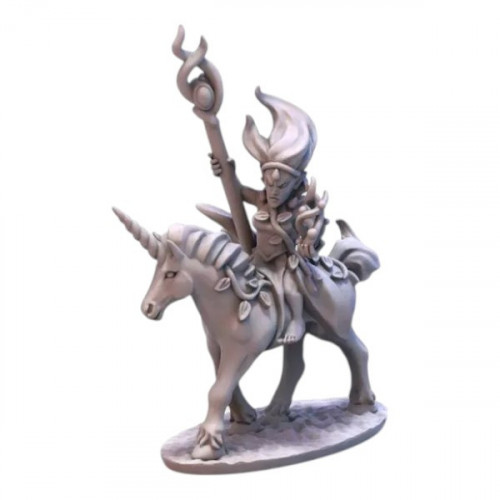  Elfes sylvestre - Sorcière sur licorne 