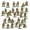 Bolt action-  