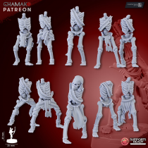 Sand Skeletons (Archers)
   