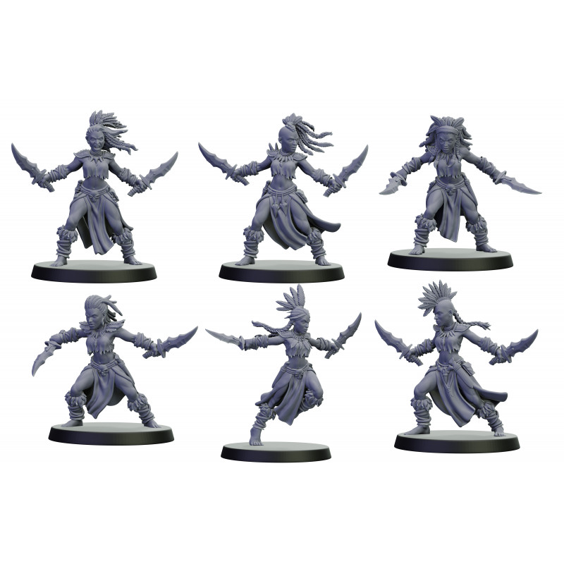 elfes noirs - Guerrieres furies   