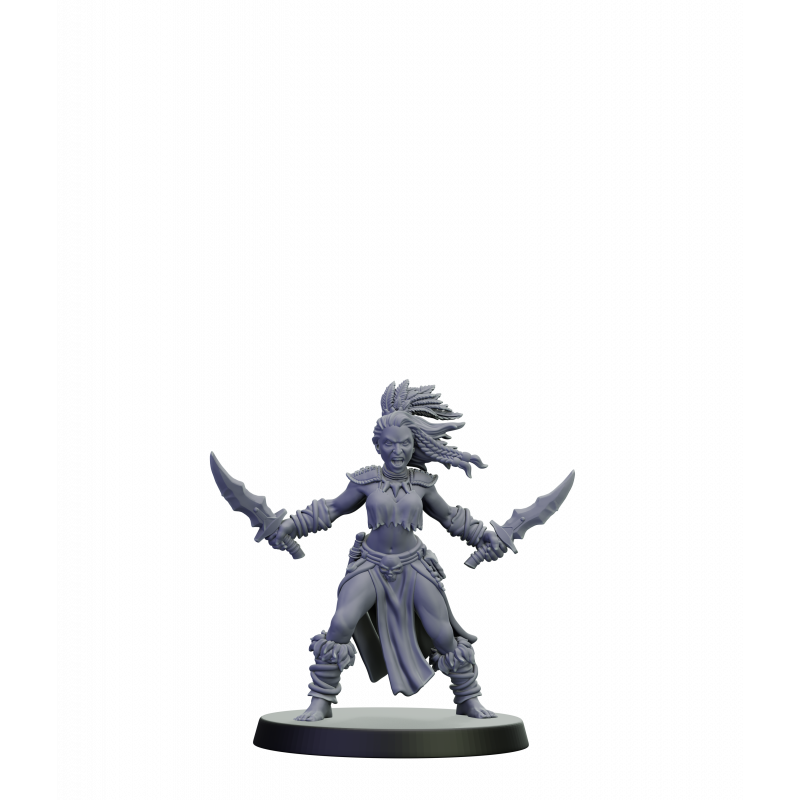 Elfes noirs - Guerrières furies 