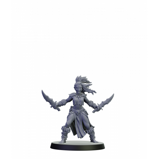 Elfes noirs - Guerrières furies 