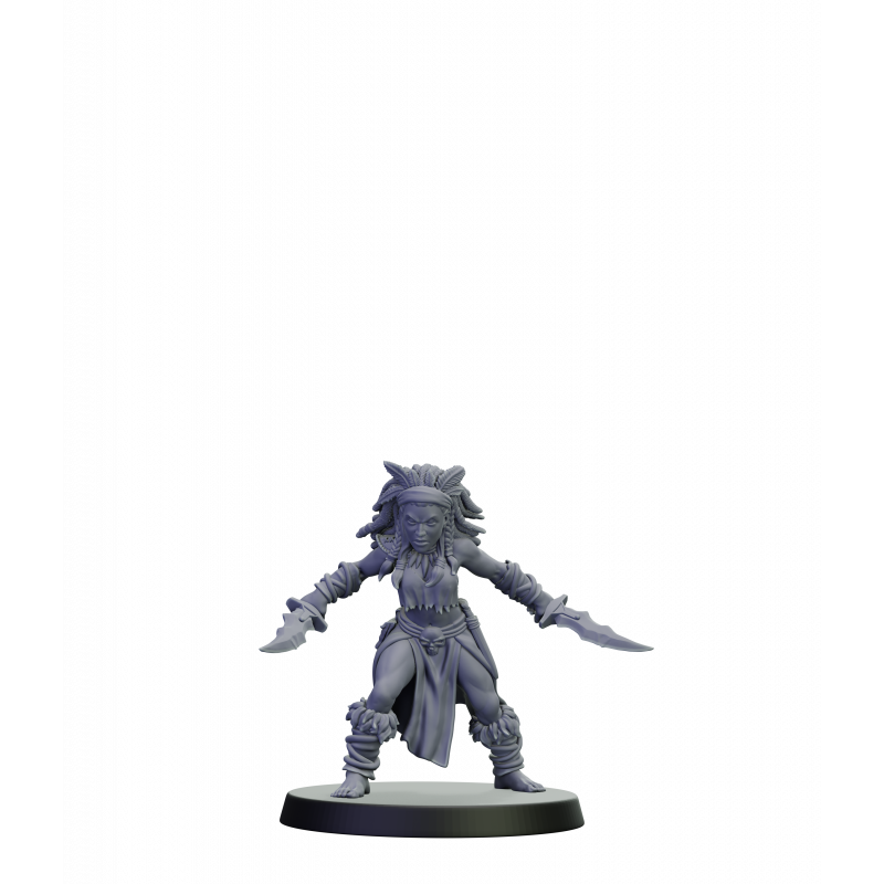 Elfes noirs - Guerrières furies 