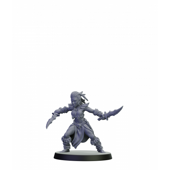 Elfes noirs - Guerrières furies 