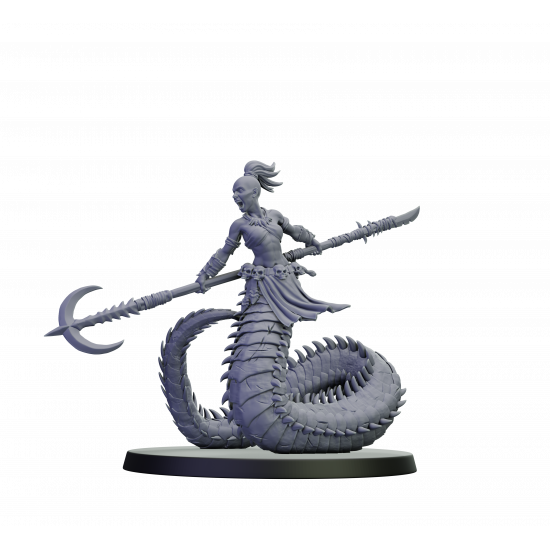 Elfes noirs - Guerrieres Myrmidon 