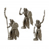 Dynasties Immortelles -  