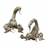 Dynasties Immortelles -  