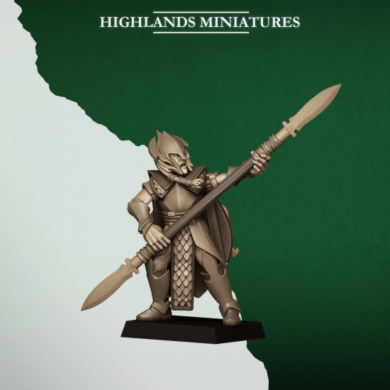 Feral Elfes - Lanciers 