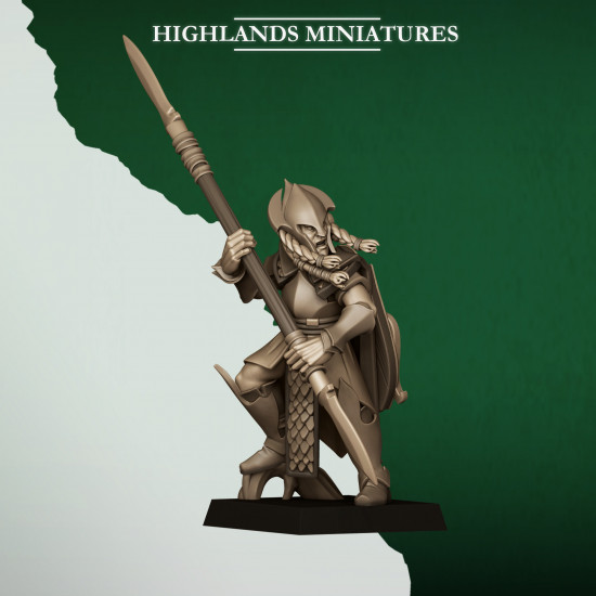 Feral Elfes - Lanciers 