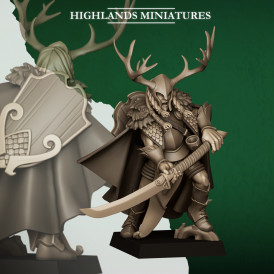 Feral Elfes - Seigneur arme lourde 