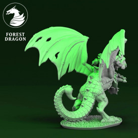Orques et Gobelins - Chef sur Wyvern  (2)