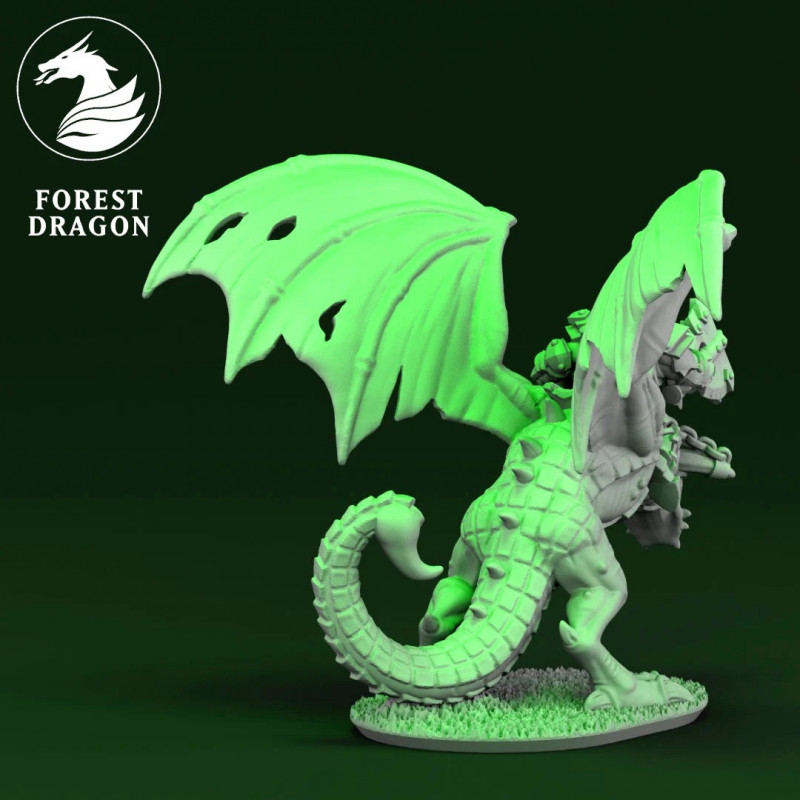 Orques et Gobelins - Chef sur Wyvern 