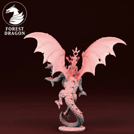 Chaos - Sorcier sur dragon du chaos   (2)