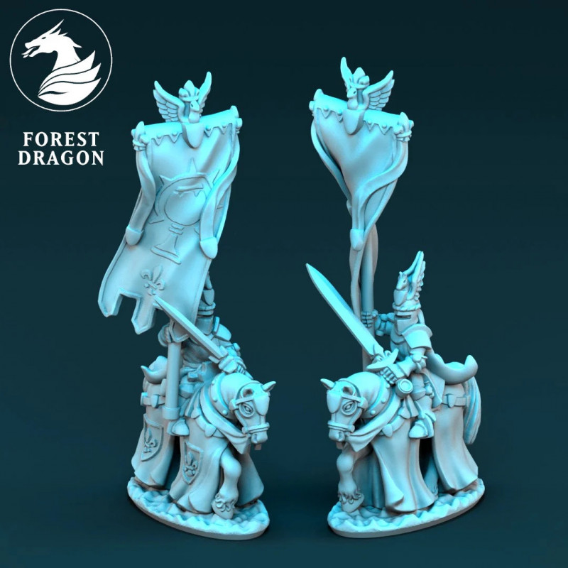 Chevaliers du Royaume - Grande bannière 