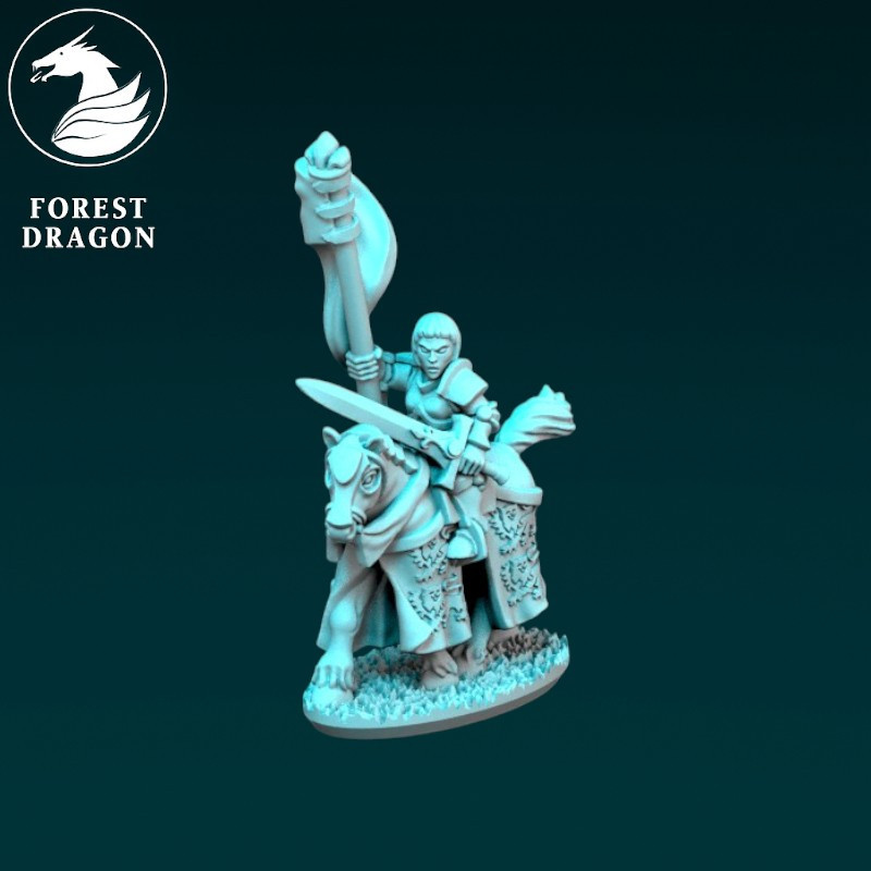 Chevaliers du Royaume - Grande bannière en armure 