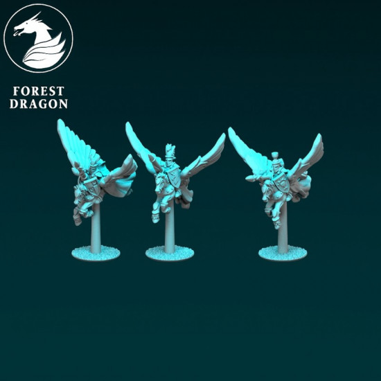 Chevaliers du Royaume - Chevaliers pégases  