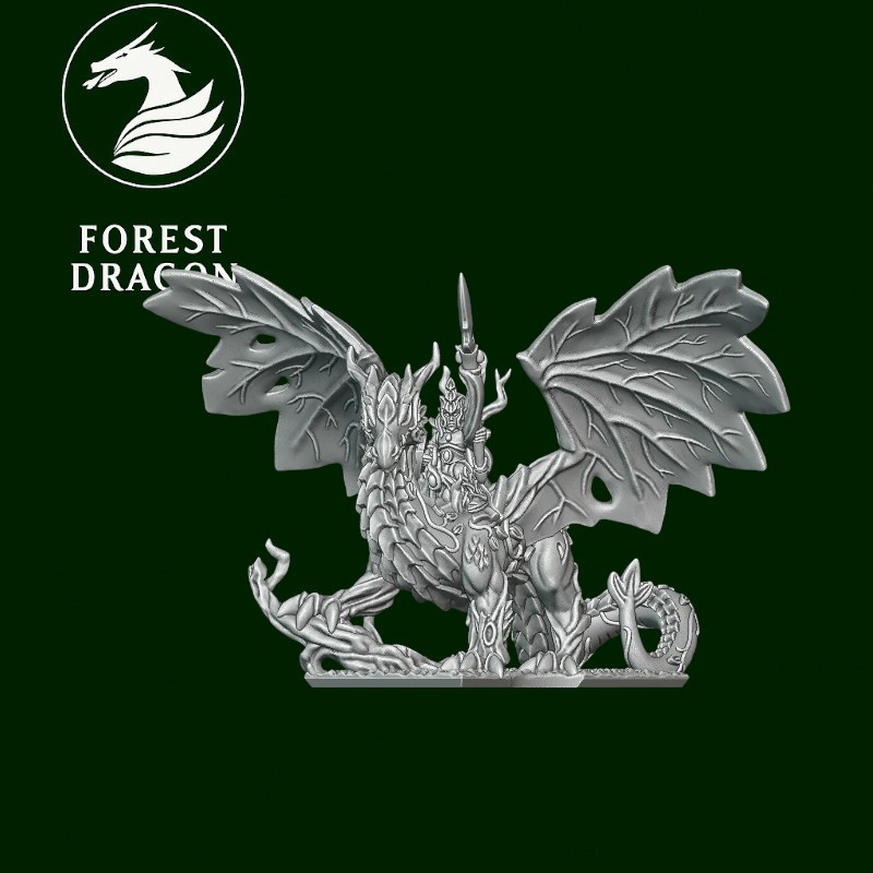 Elfes Sylvestre - Dragon héros  