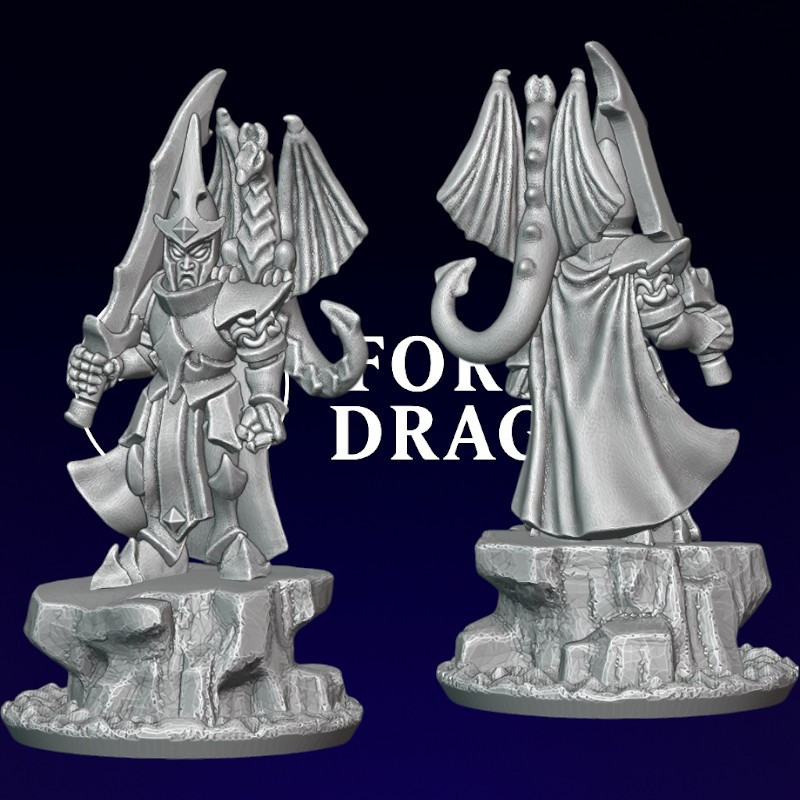 Elfes noirs - Seigneur avec dragonnet 