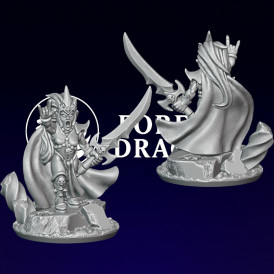 Elfes noirs - Sorcière à pieds