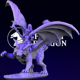 Elfes noirs - Sorciere sur manticore