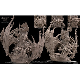 Orques et gobelins -Shaman sur Wyvern   (2)