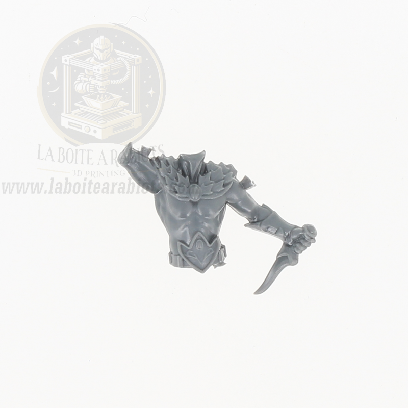 The Old World - Cavaliers Sauvages -  