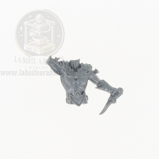 The Old World - Cavaliers Sauvages -  