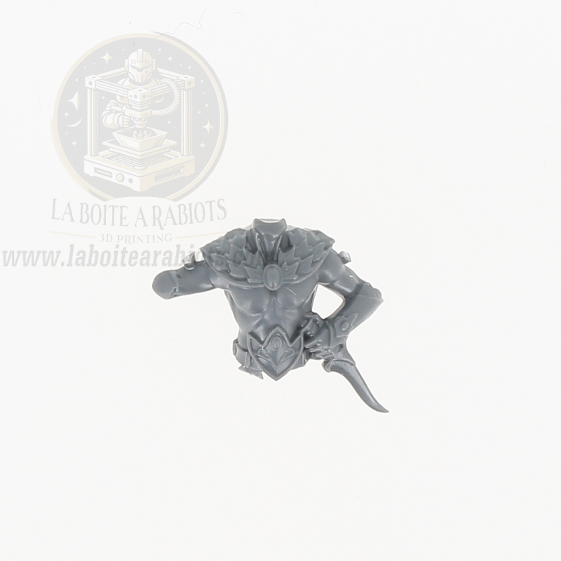 The Old World - Cavaliers Sauvages -  