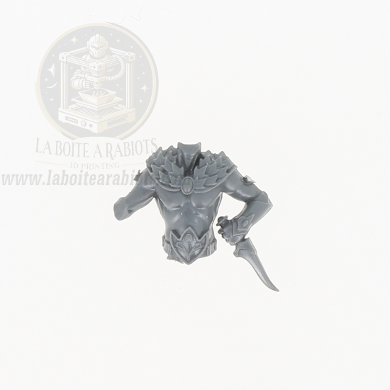 The Old World - Cavaliers Sauvages -  