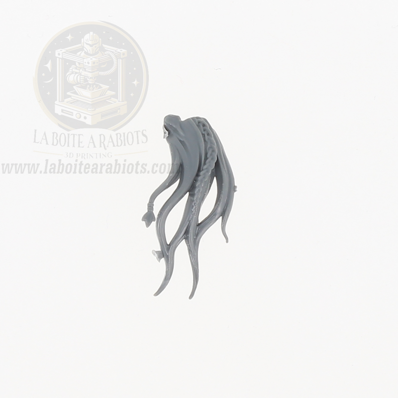 The Old World - Cavaliers Sauvages - 1 chevelure RANDOM 