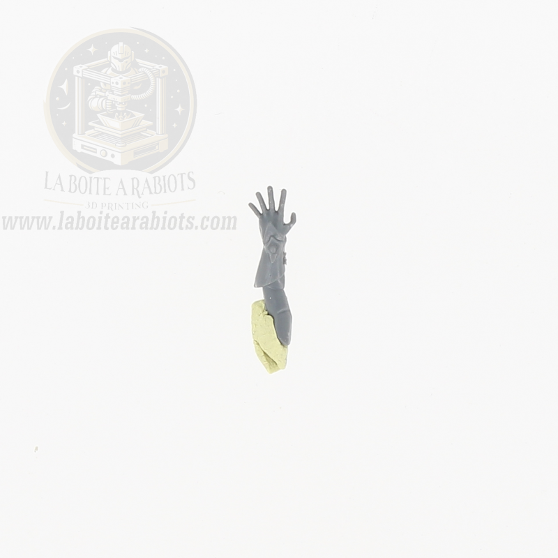 The Old World - Cavaliers Sauvages -  