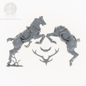 The Old World - Cavaliers Sauvages -  