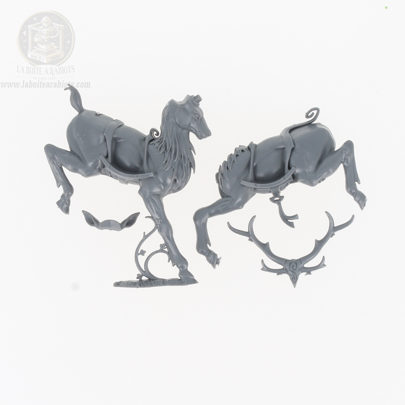 The Old World - Cavaliers Sauvages -  