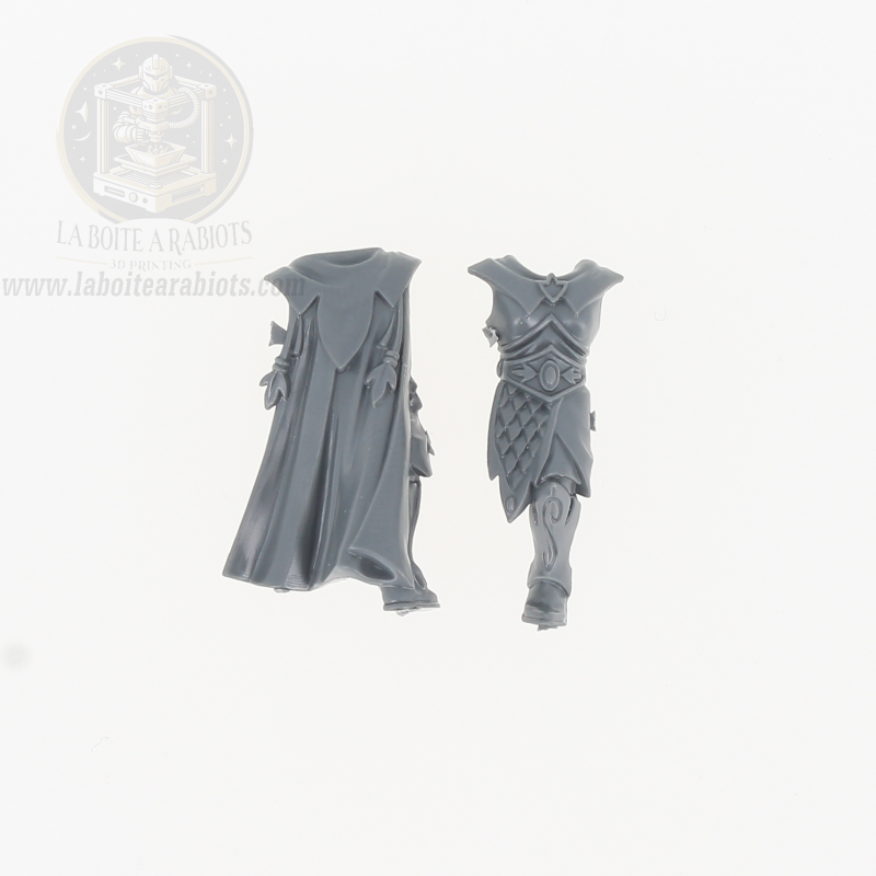 The Old World - Garde Eternelle - Corps 2 