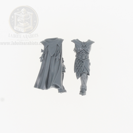 The Old World - Garde Eternelle - Corps 2 