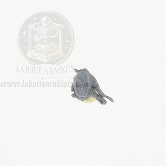 The Old World  - Archers Elfes Sylvains -  