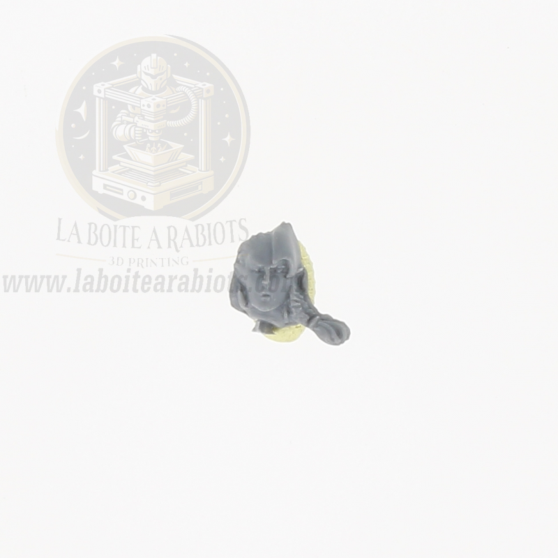 The Old World  - Archers Elfes Sylvains -  