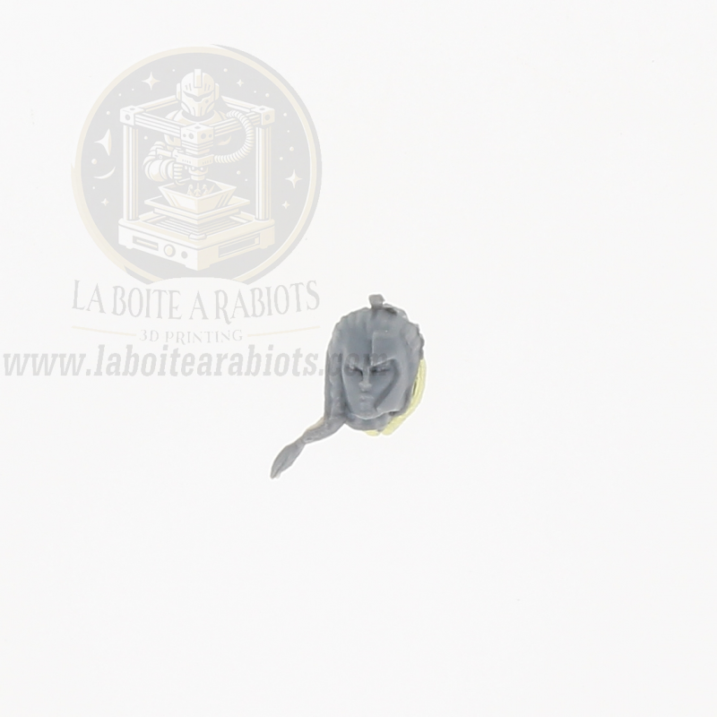 The Old World  - Archers Elfes Sylvains -  