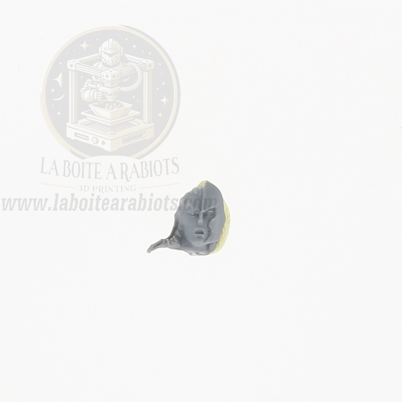 The Old World  - Archers Elfes Sylvains -  