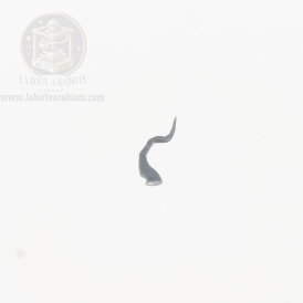 The Old World  - Archers Elfes Sylvains -  