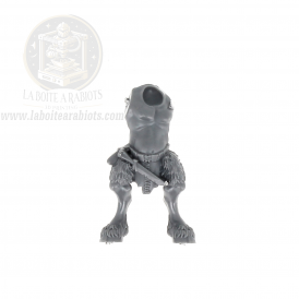 The Old World - Ungors Hommes Bêtes - 