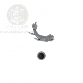 The Old World - Ungors Hommes Bêtes - 