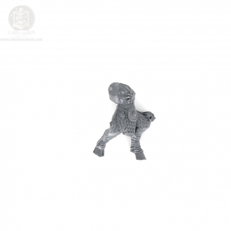 The Old World - Gors Hommes Bêtes - Corps 8 