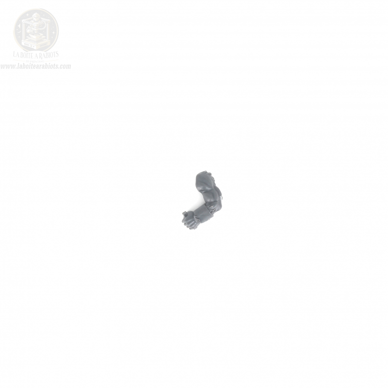 The Old World - Gors Hommes Bêtes - 