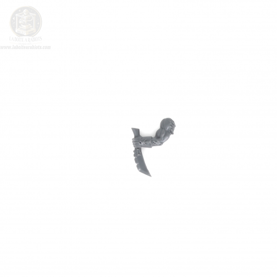 The Old World - Gors Hommes Bêtes - Arme 1 