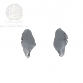 The Old World - Cygor Hommes Bêtes - 