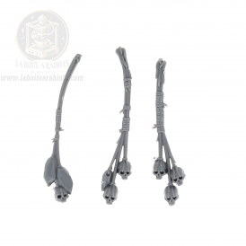 The Old World - Cygor Hommes Bêtes - 