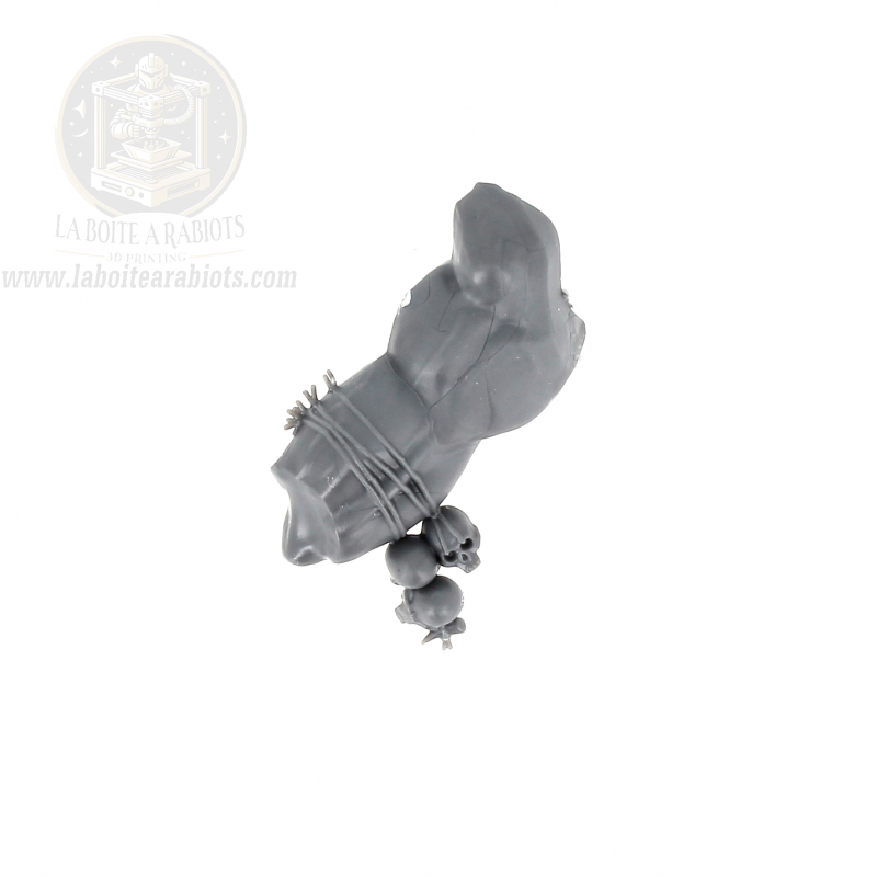 The Old World - Cygor Hommes Bêtes - 